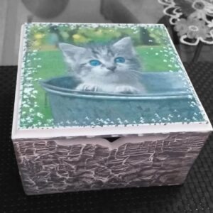 Cajon
